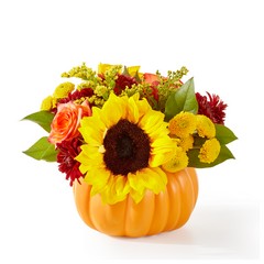 Golden Gourd Bouquet from Victor Mathis Florist in Louisville, KY